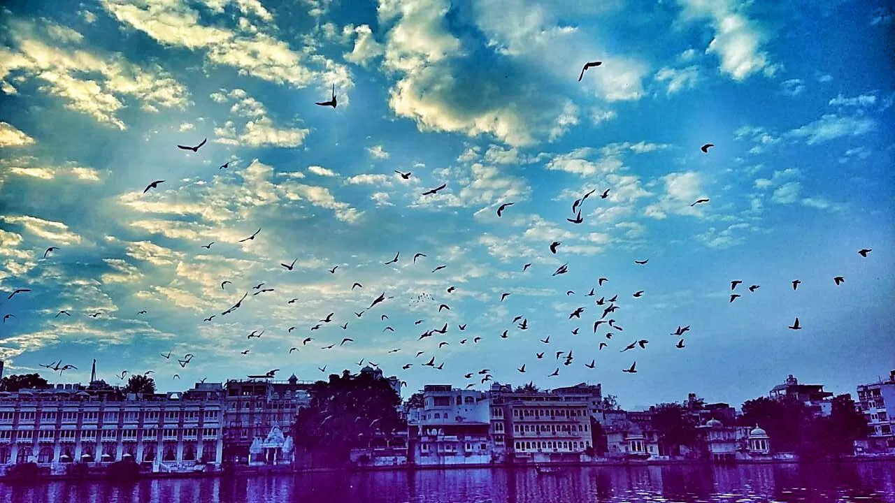 Photo of Udaipur By Nimisha Damani