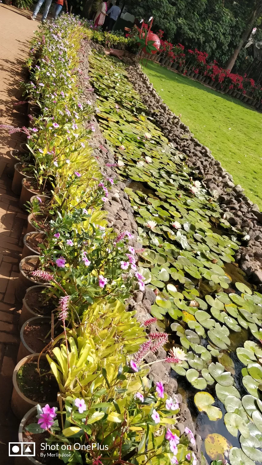 Photo of Mahabaleshwar By Dazzle Collection