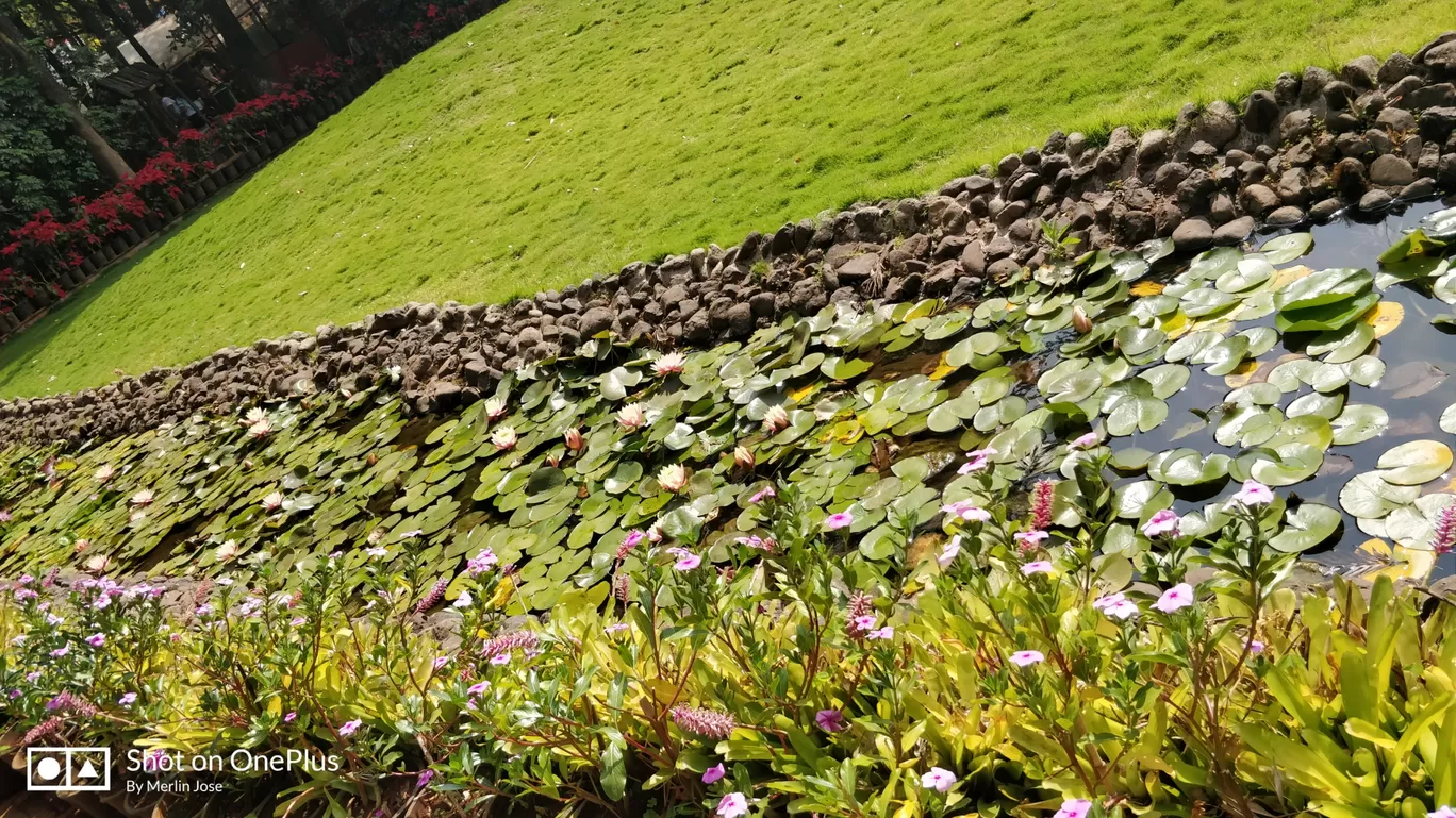 Photo of Mahabaleshwar By Dazzle Collection