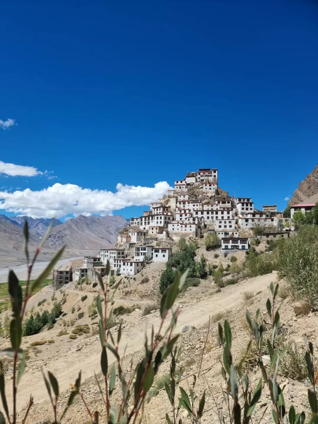 Photo of Key Gompa By Sambrama A S