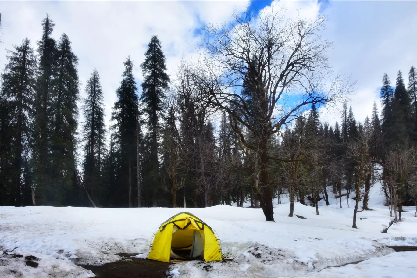 Photo of Kedarkantha Base Camp By Avishek Nag