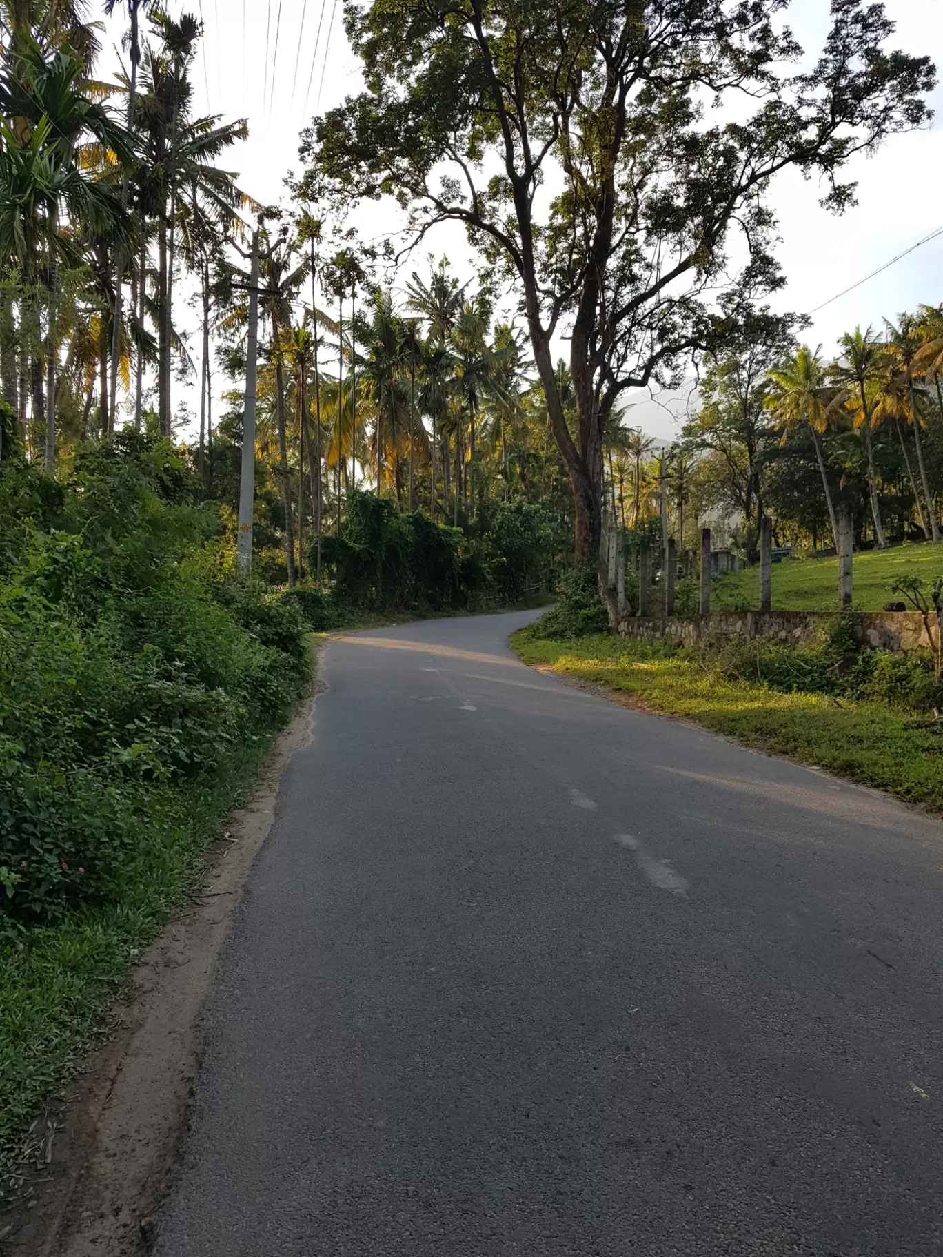 Photo of Munnar By Akash 