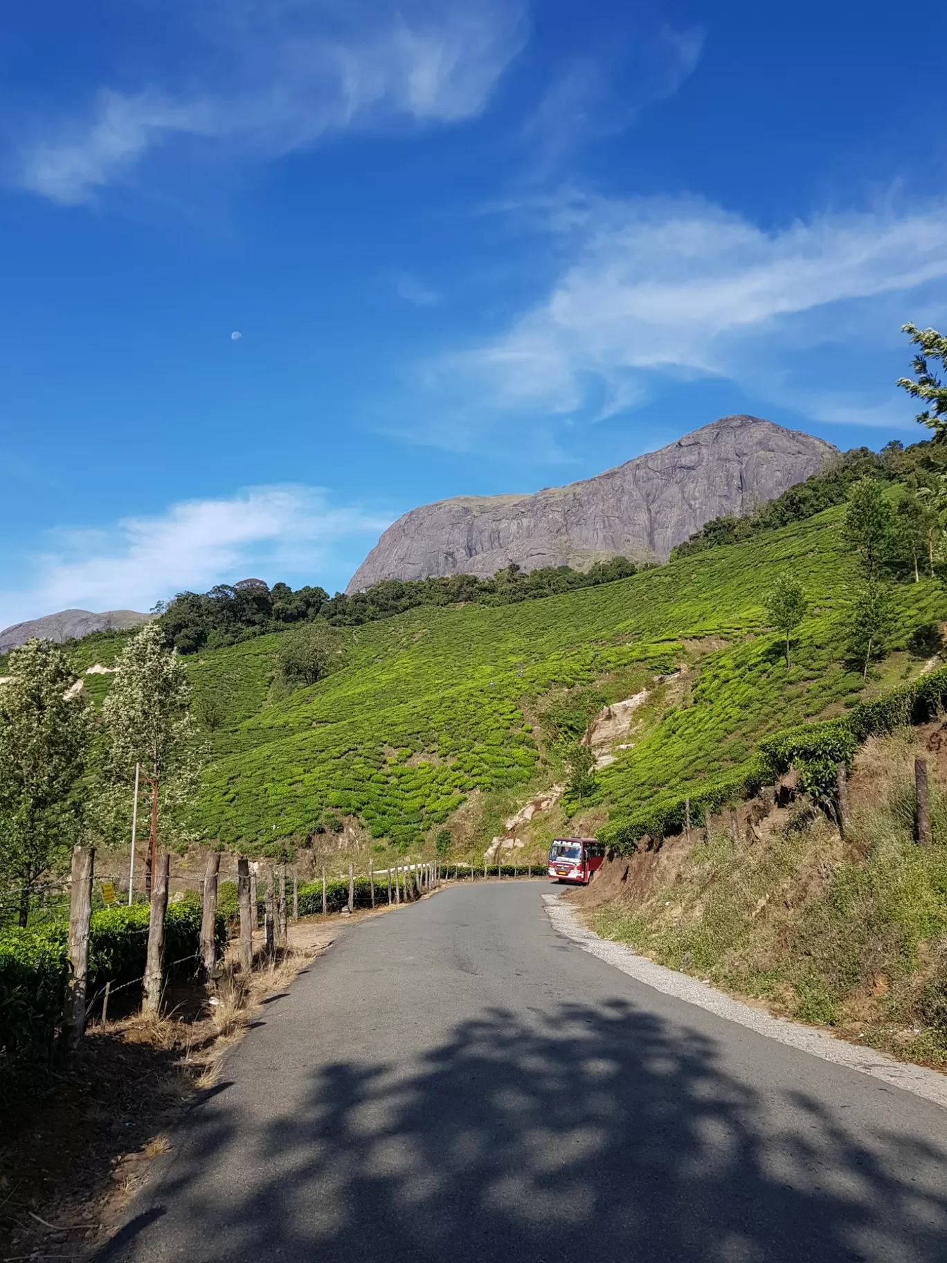 Photo of Munnar By Akash 