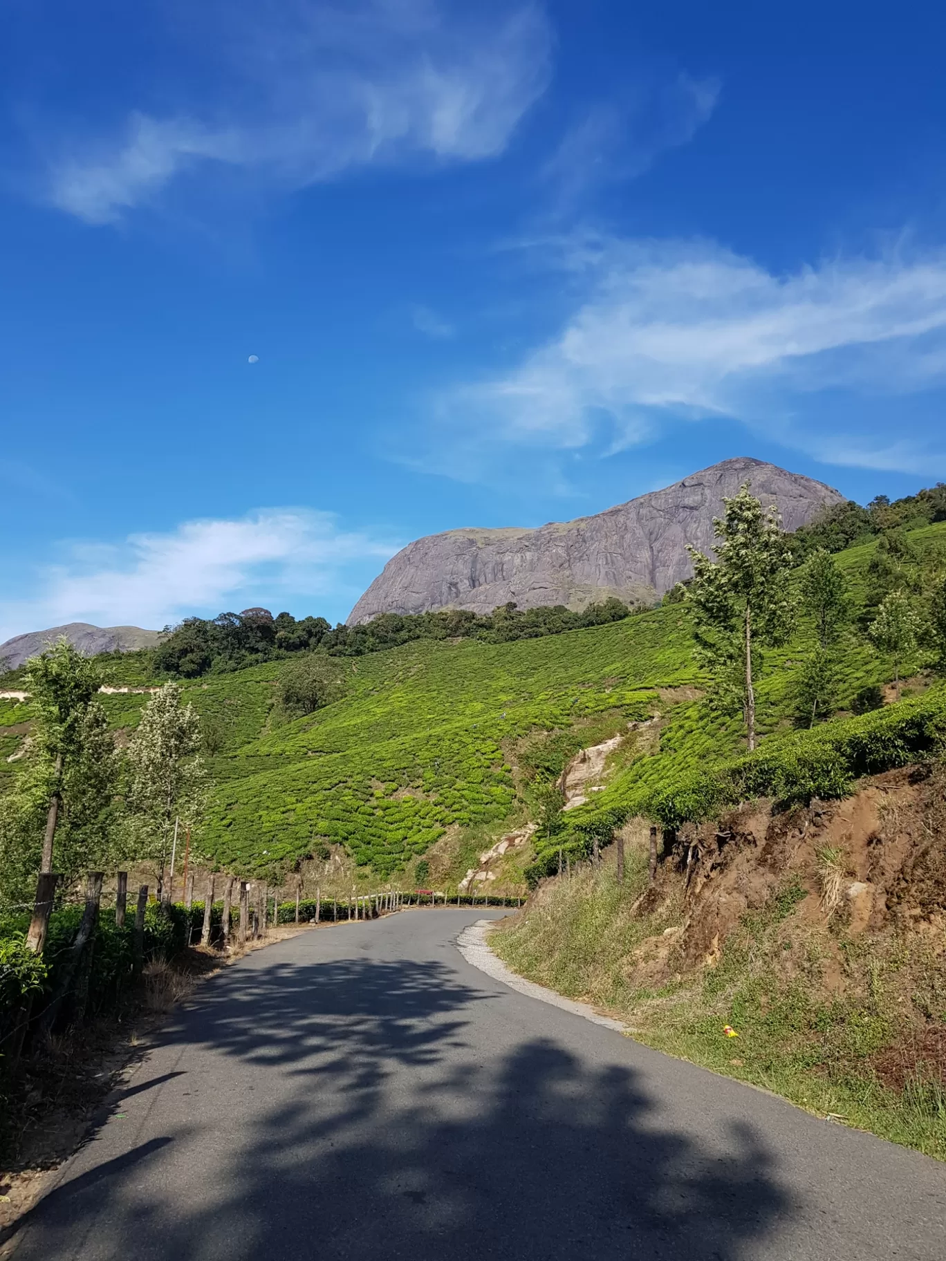 Photo of Munnar By Akash 