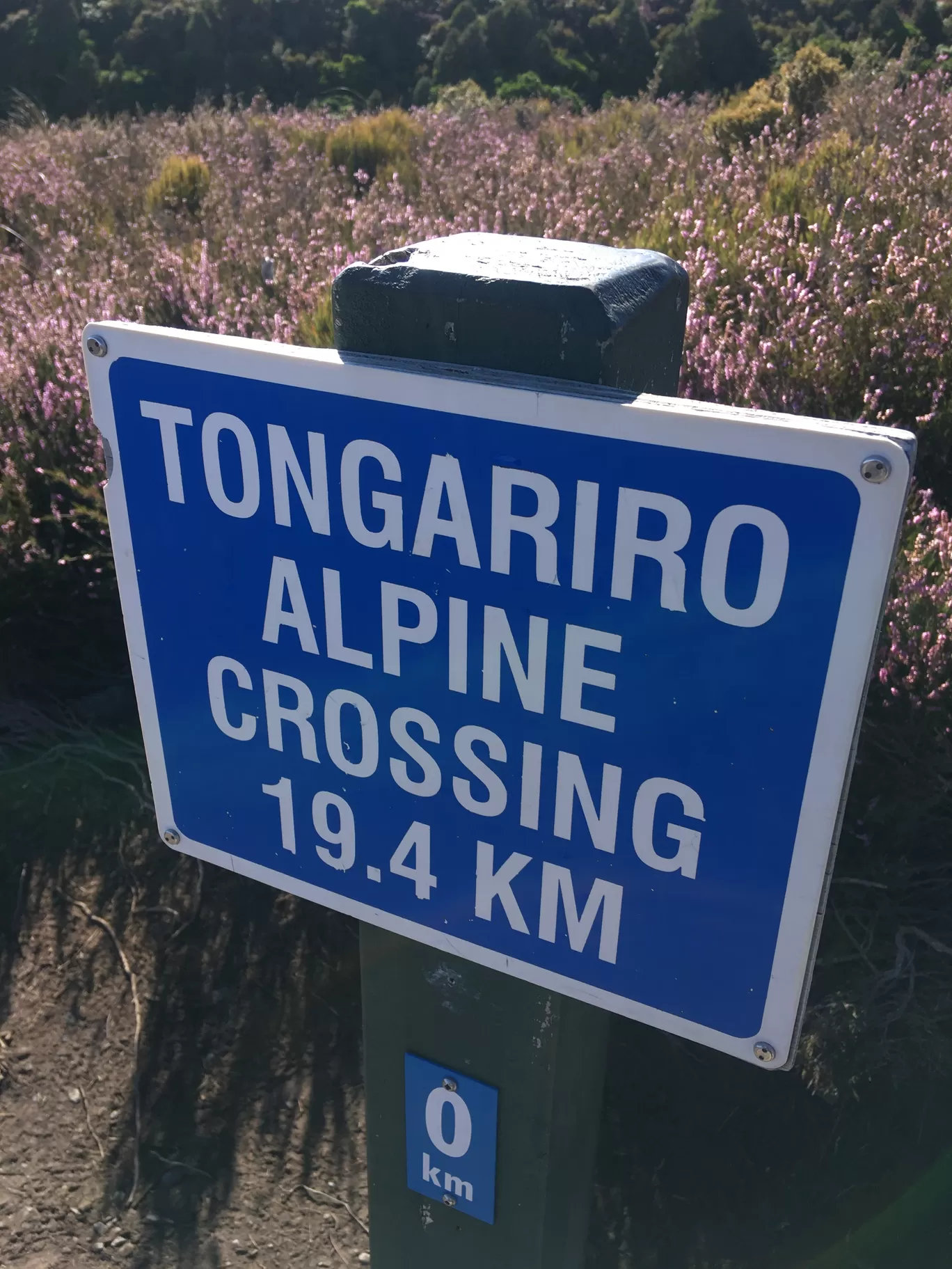Photo of Tongariro National Park By Darshan babu