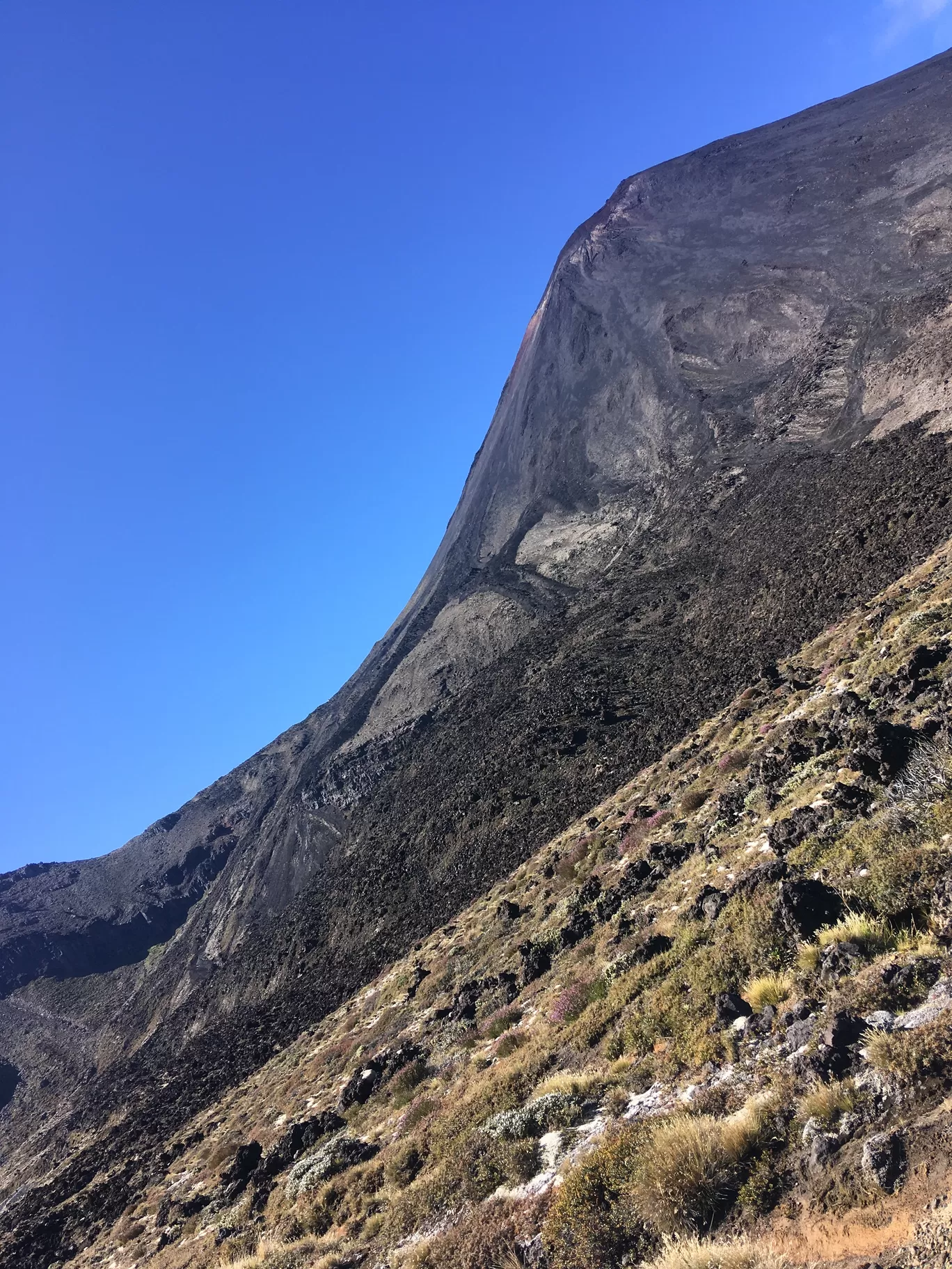 Photo of Tongariro National Park By Darshan babu