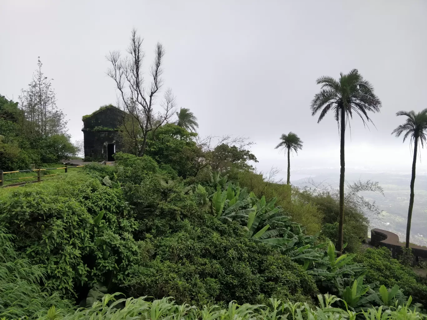 Photo of Sinhagad Fort By Vijay Sai Virup 