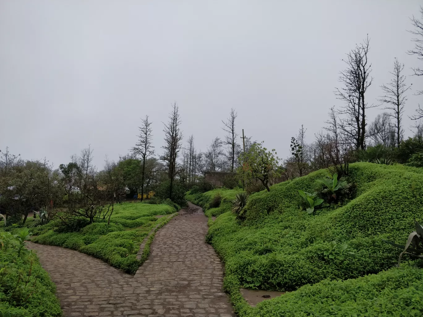 Photo of Sinhagad Fort By Vijay Sai Virup 