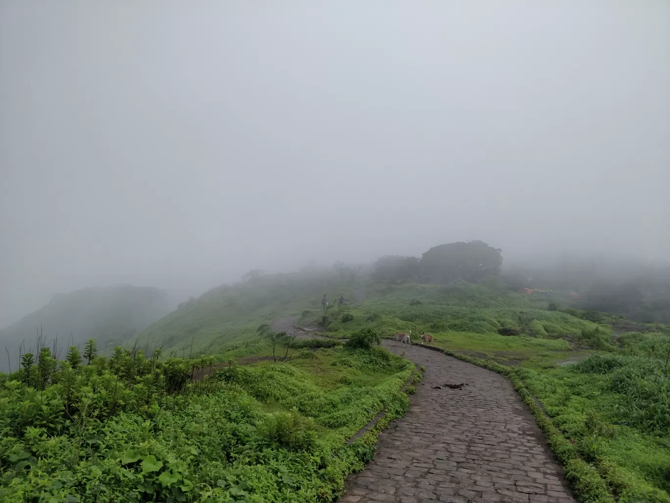 Photo of Sinhagad Fort By Vijay Sai Virup 