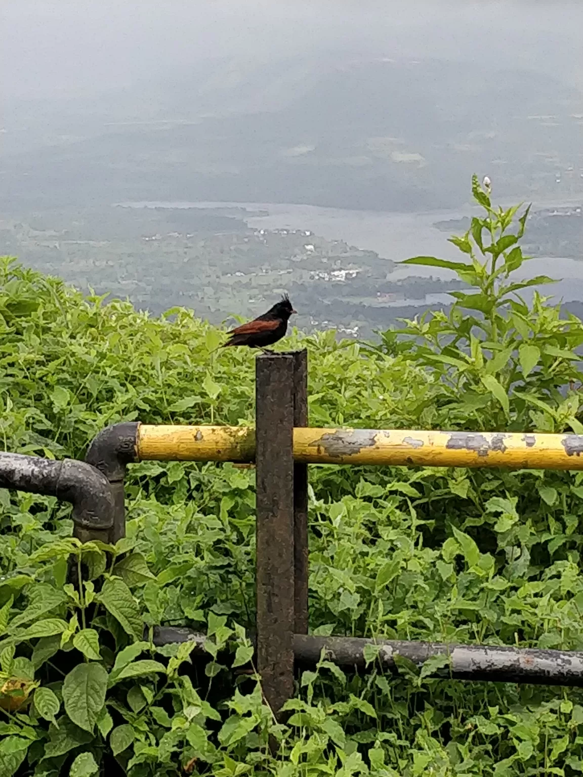Photo of Sinhagad Fort By Vijay Sai Virup 