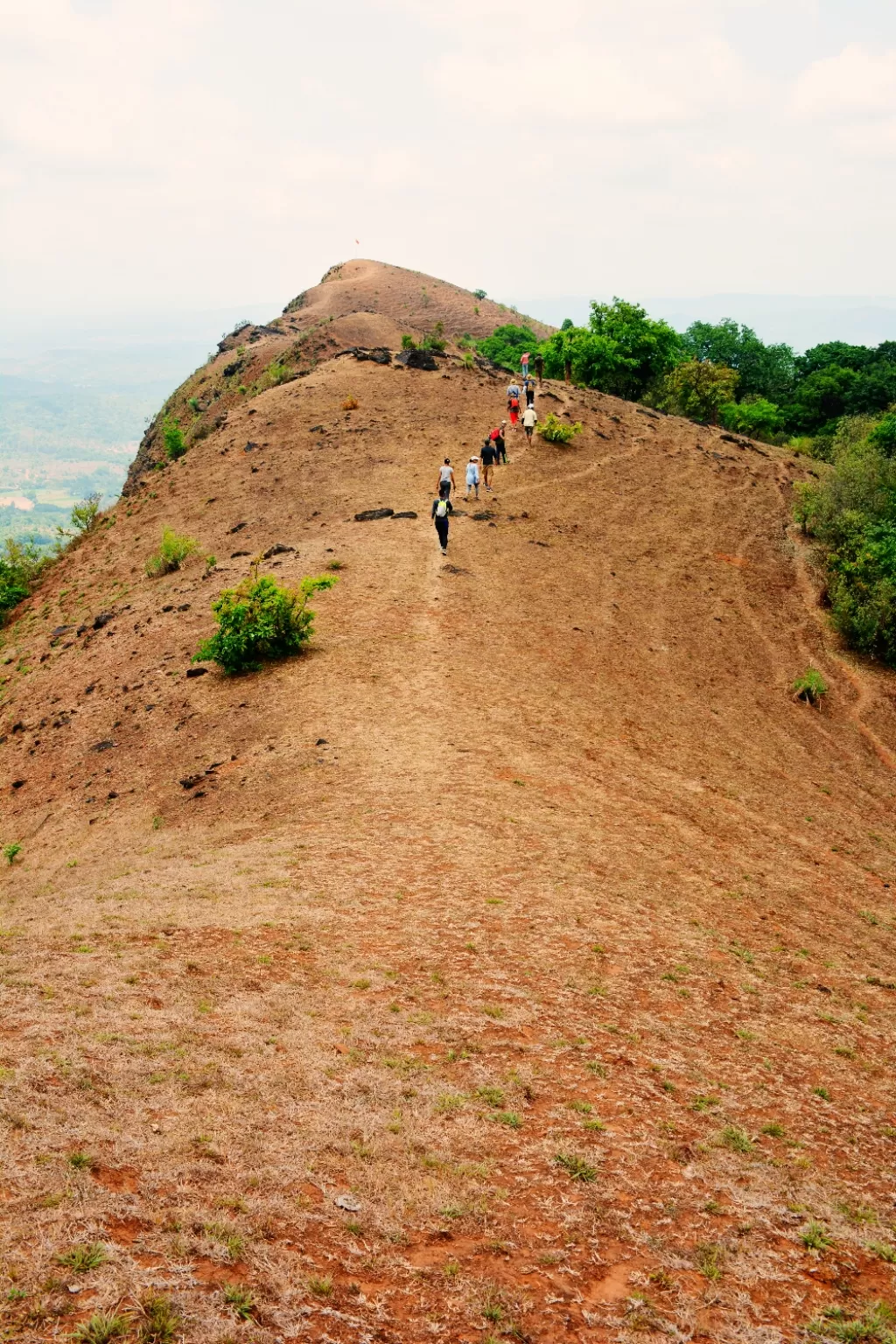 Photo of Mandagadde By Abhishek Kukanur