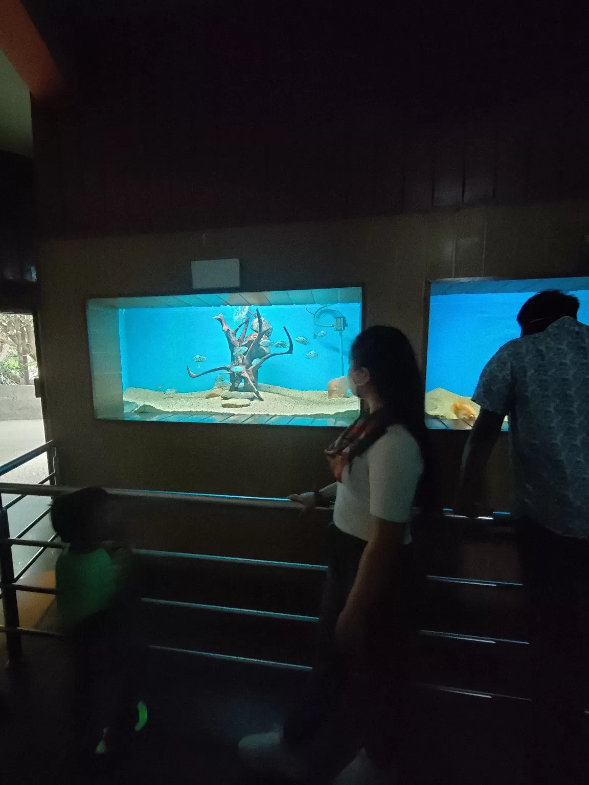 Photo of Government Aquarium By ZoVi Khiangte