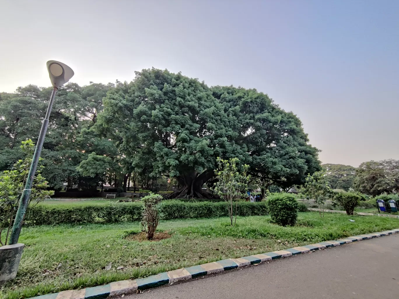 Photo of Lalbagh Botanical Garden By ZoVi Khiangte