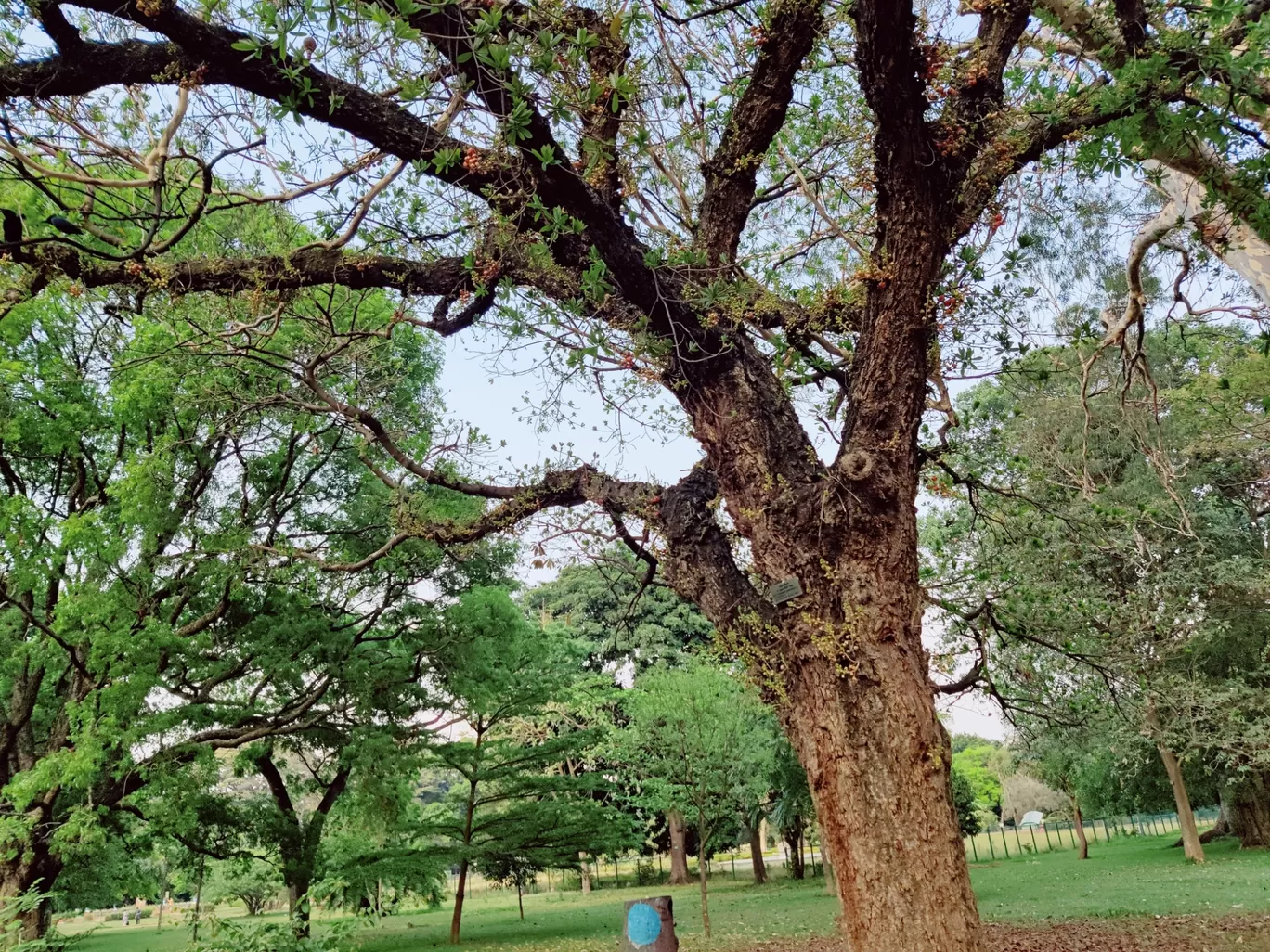 Photo of Lalbagh Botanical Garden By ZoVi Khiangte