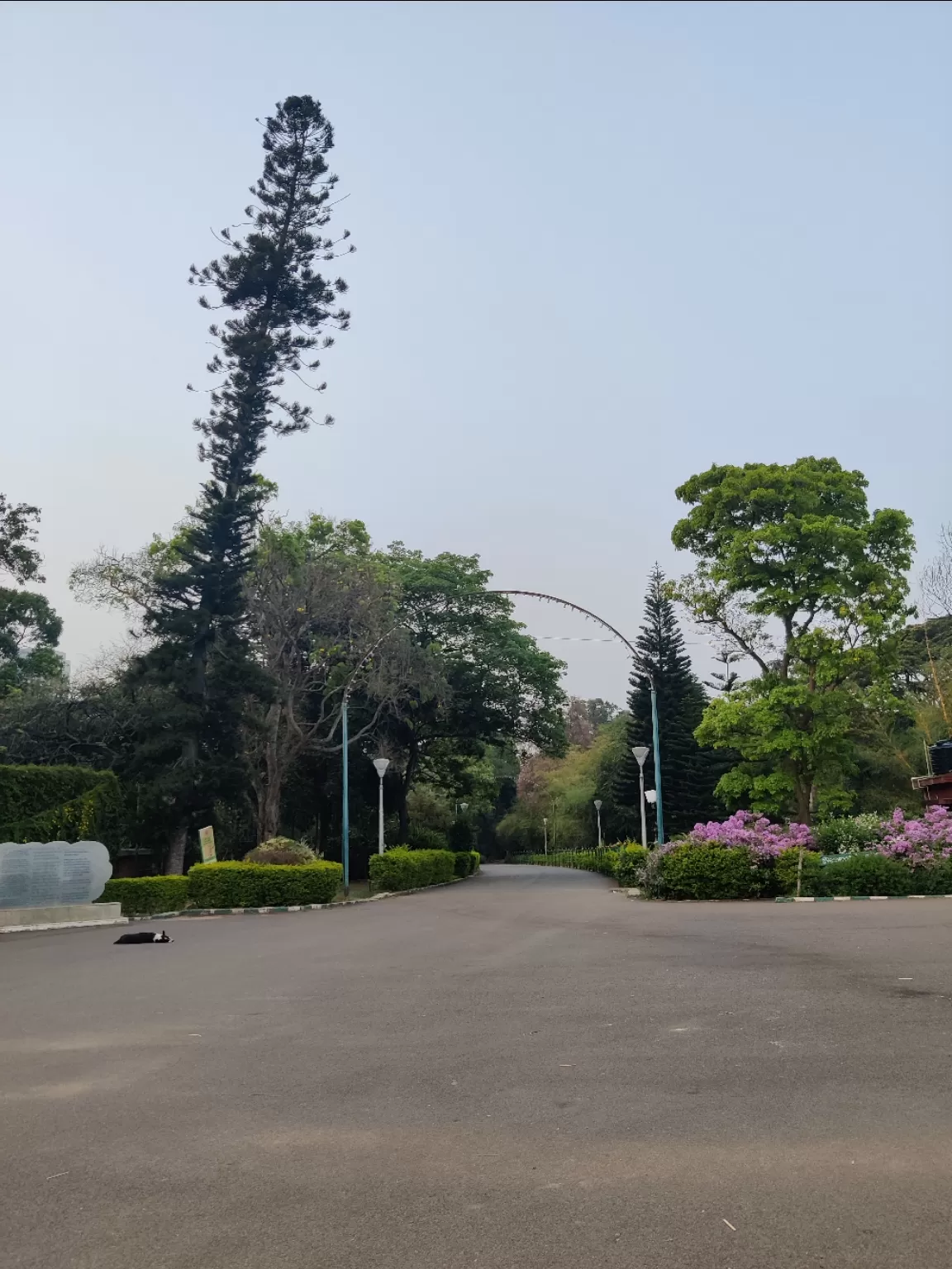 Photo of Lalbagh Botanical Garden By ZoVi Khiangte