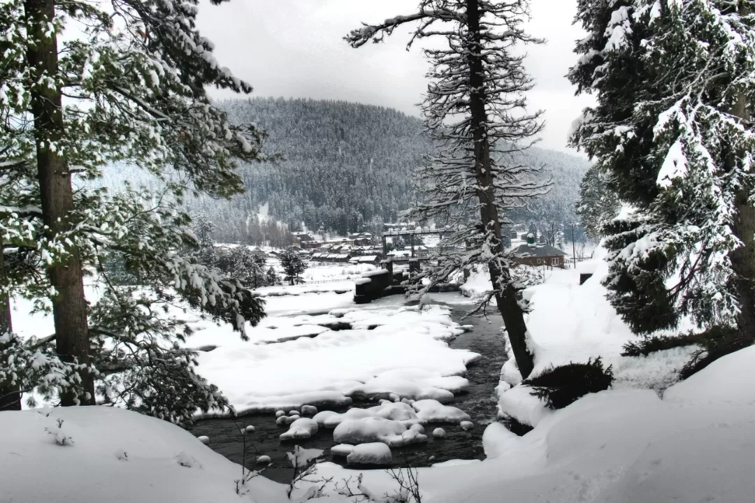 Photo of Pahalgam By Jan Akhter