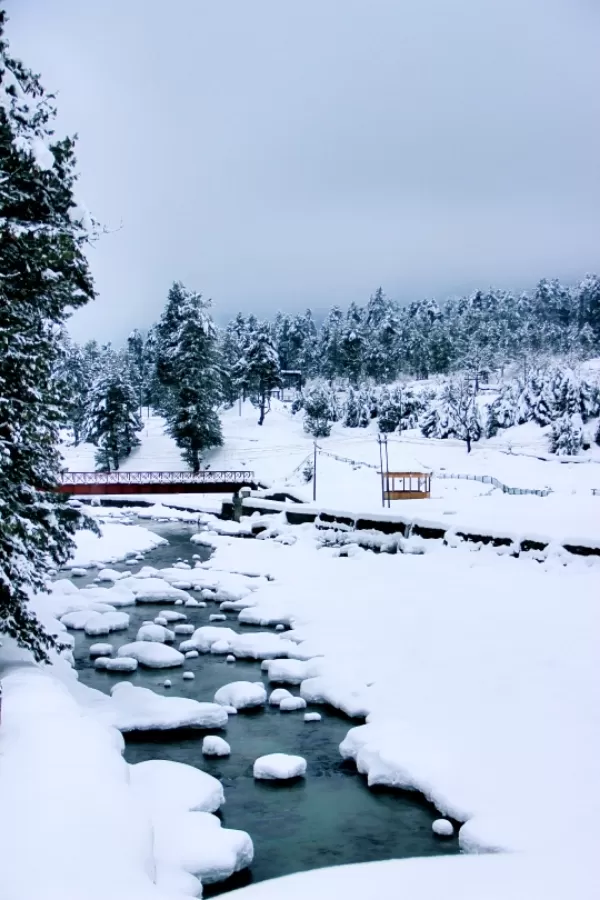 Photo of Pahalgam By Jan Akhter