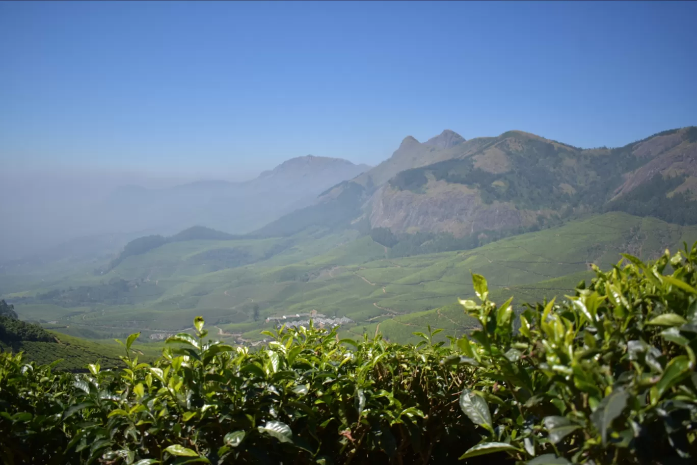 Photo of Munnar By Nitesh Rajpurohit