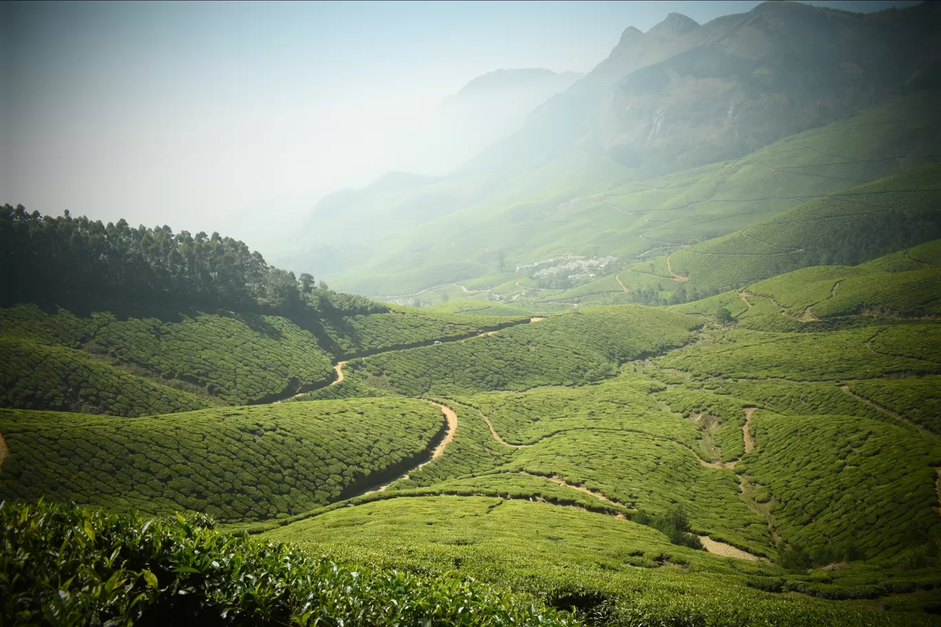 Photo of Munnar By Nitesh Rajpurohit