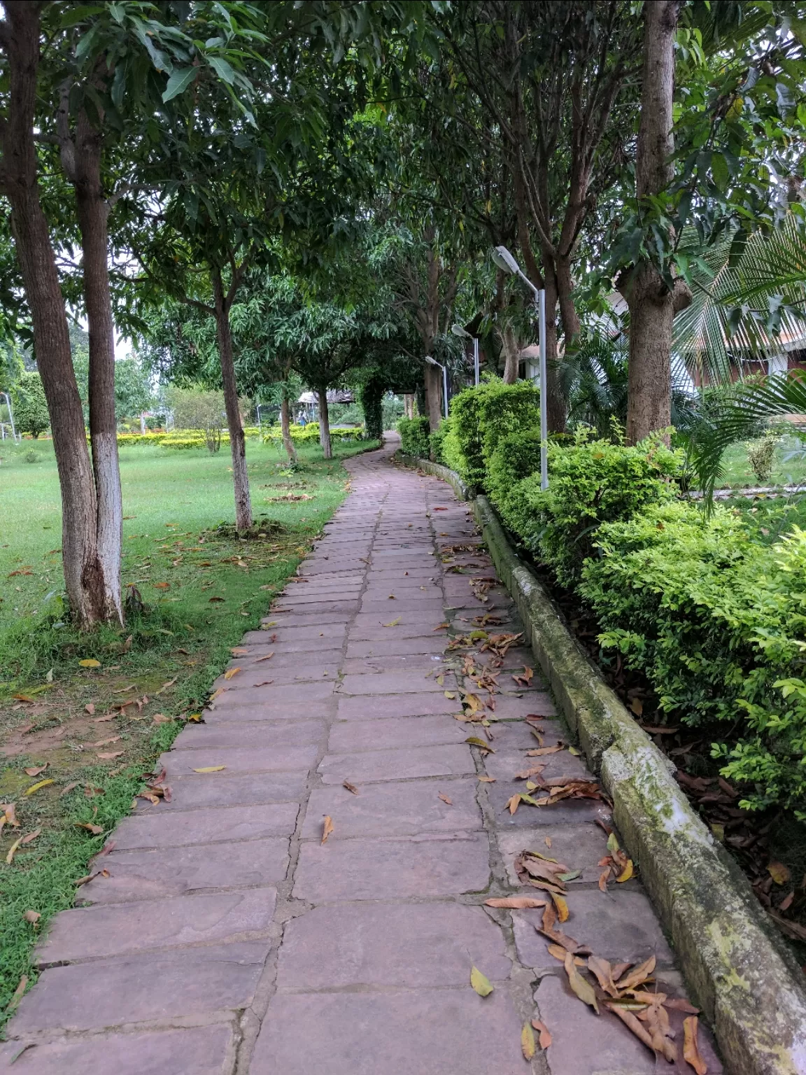 Photo of Jagdalpur By Ankita Pande