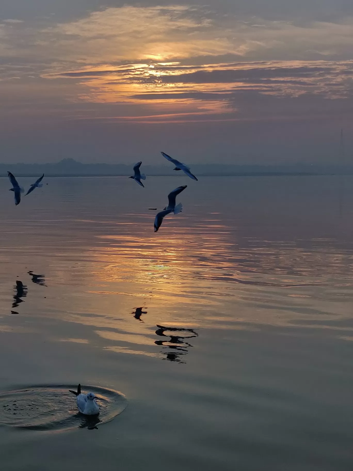 Photo of Varanasi By tulika pandey