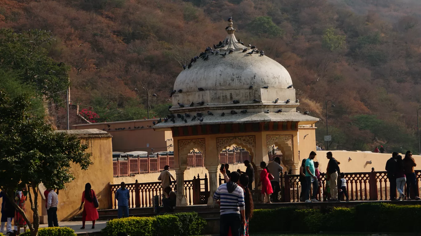 Photo of Amber Palace By Preeti 