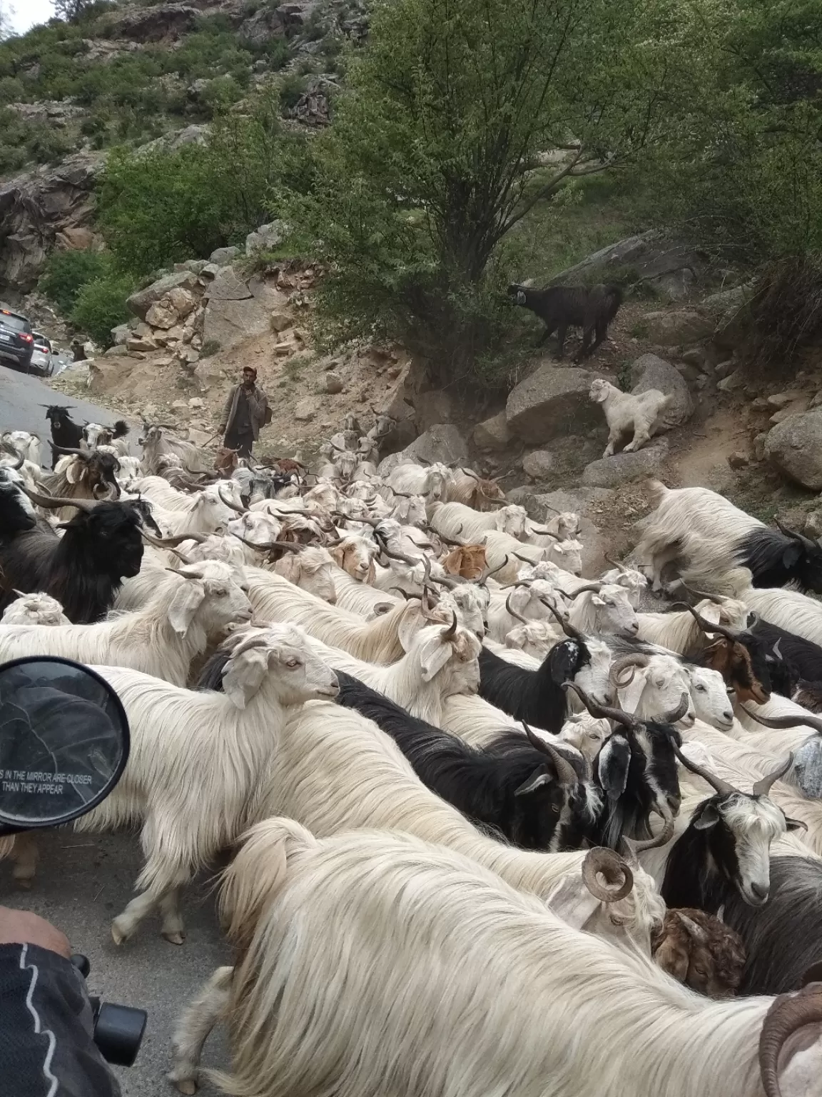 Photo of Kaza By Amulakonda Sreelatha