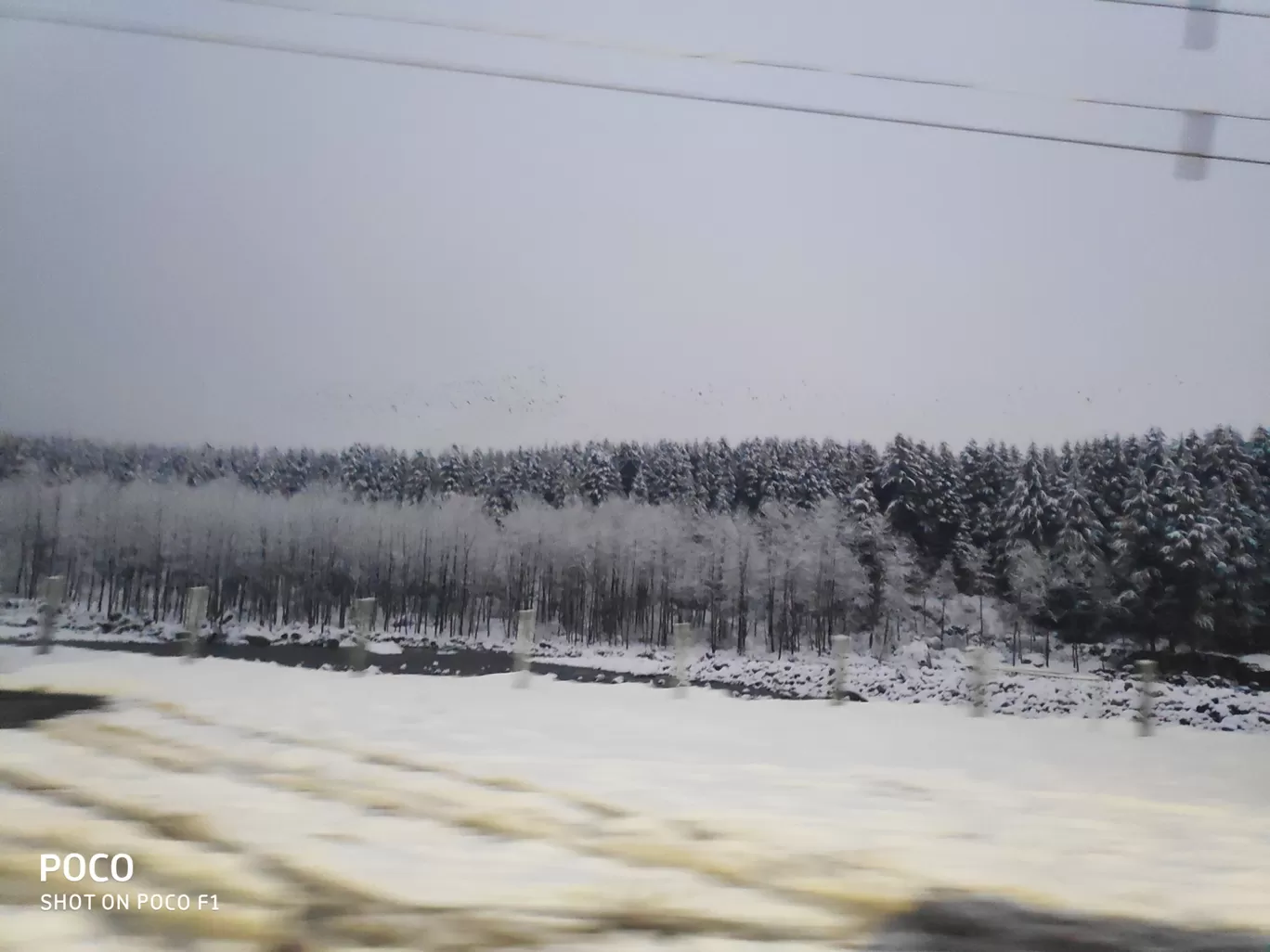 Photo of Manali By Ankush Giamzo