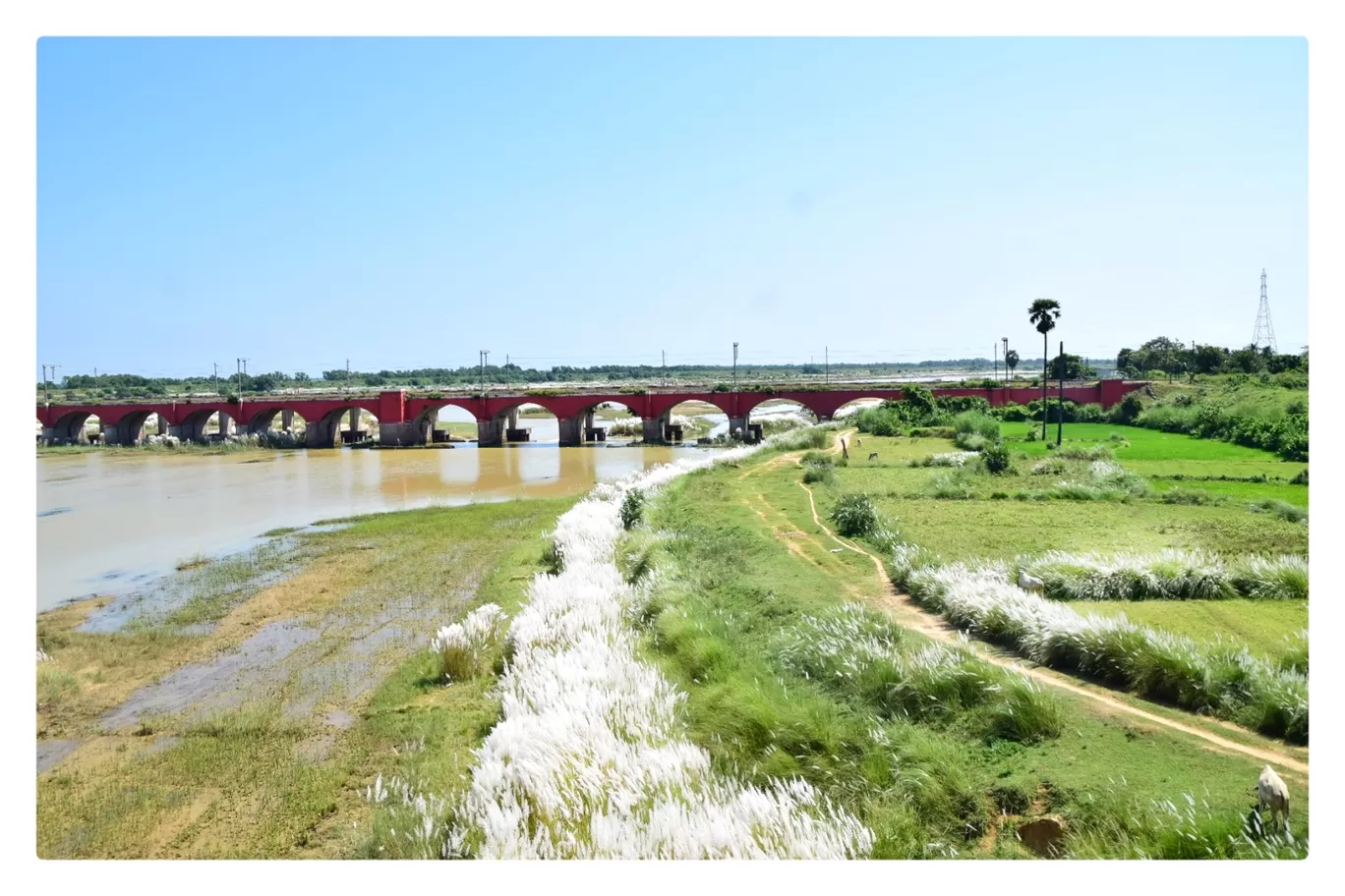 Photo of Bolpur Shantiniketan By Animesh Chakrobarty