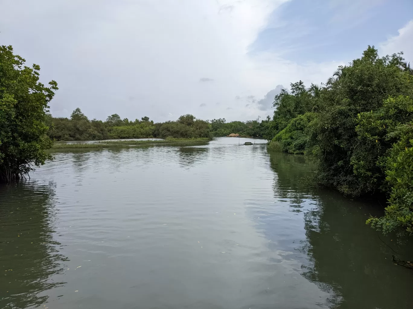 Photo of Sharavathi Kandla Mangrove Boardwalk By Amrith Mayya