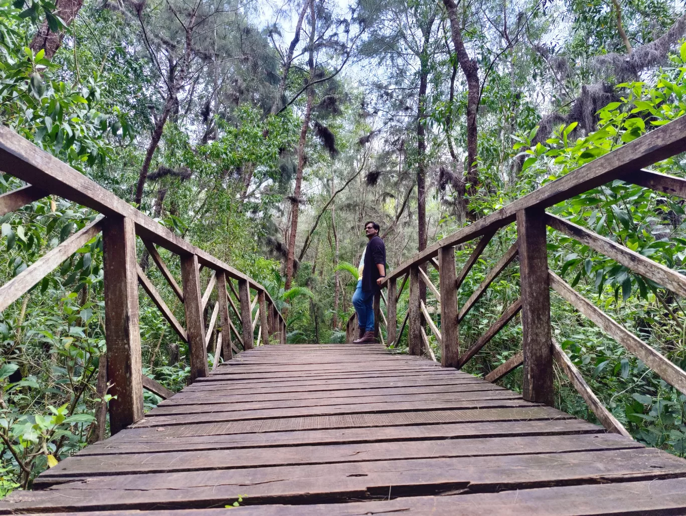 Photo of Sharavathi Kandla Mangrove Boardwalk By Amrith Mayya