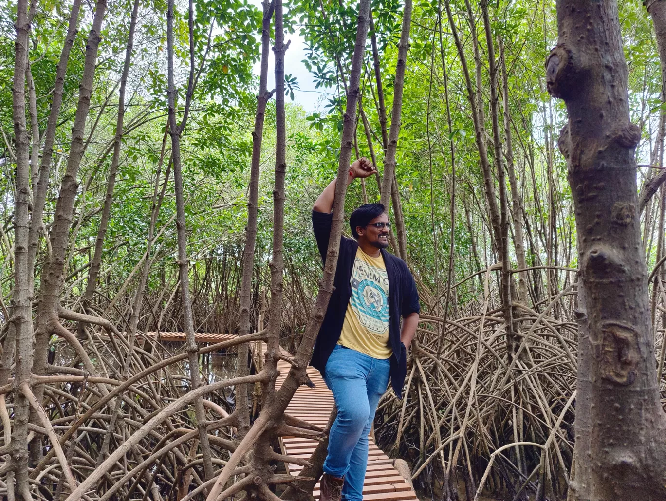 Photo of Sharavathi Kandla Mangrove Boardwalk By Amrith Mayya