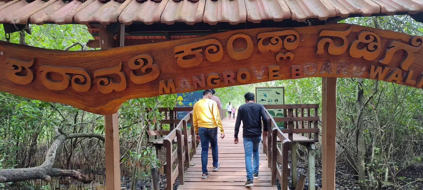 Photo of Sharavathi Kandla Mangrove Boardwalk By Amrith Mayya