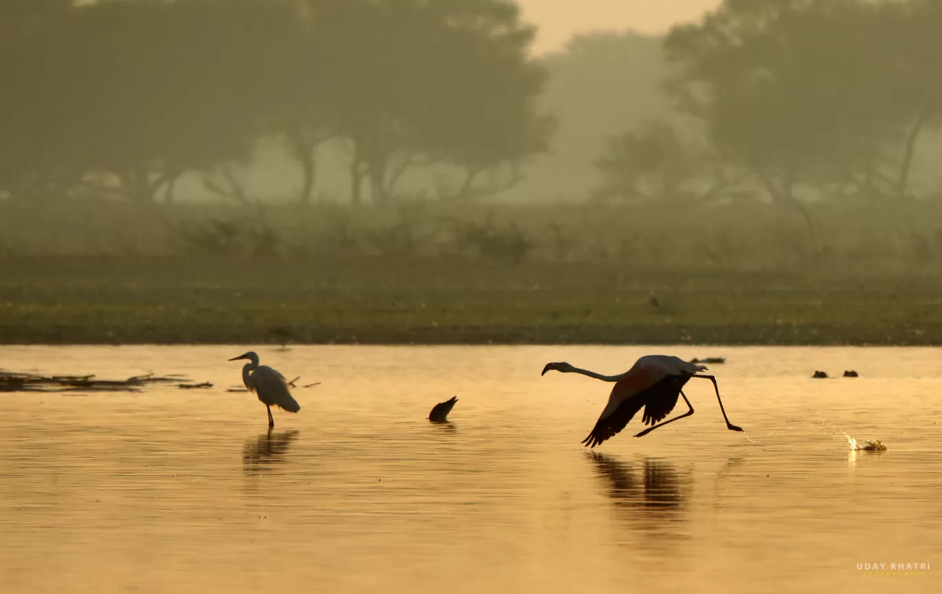 Photo of Thol By uday khatri