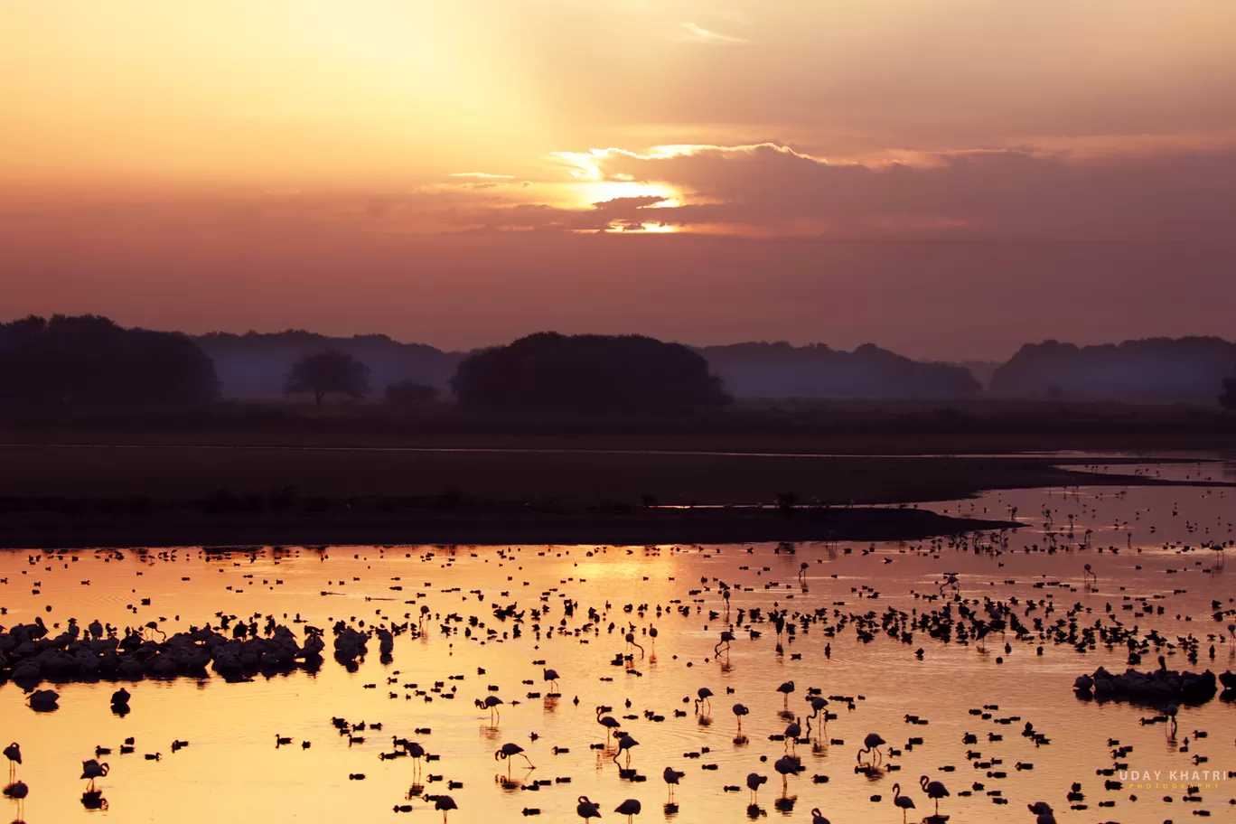 Photo of Thol By uday khatri