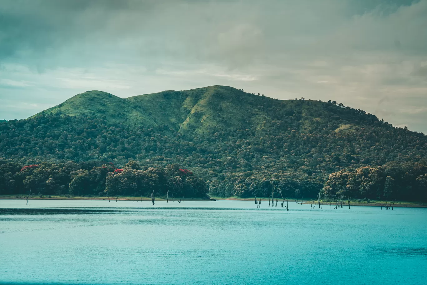 Photo of Thekkady By Mrphenomenal Diaries