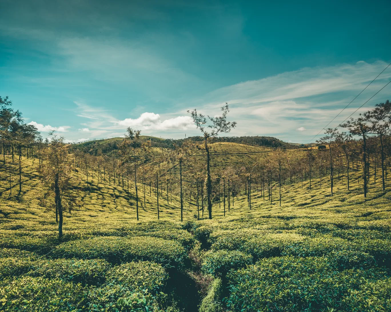 Photo of Thekkady By Mrphenomenal Diaries