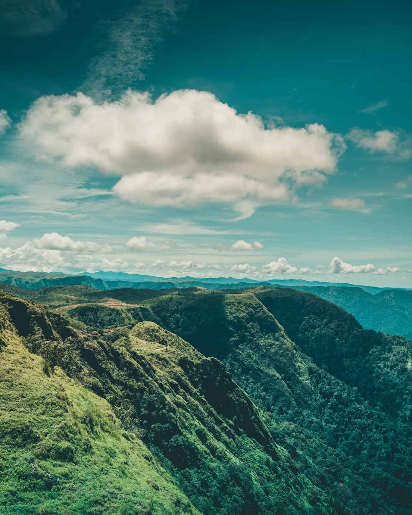 Photo of Thekkady By Mrphenomenal Diaries