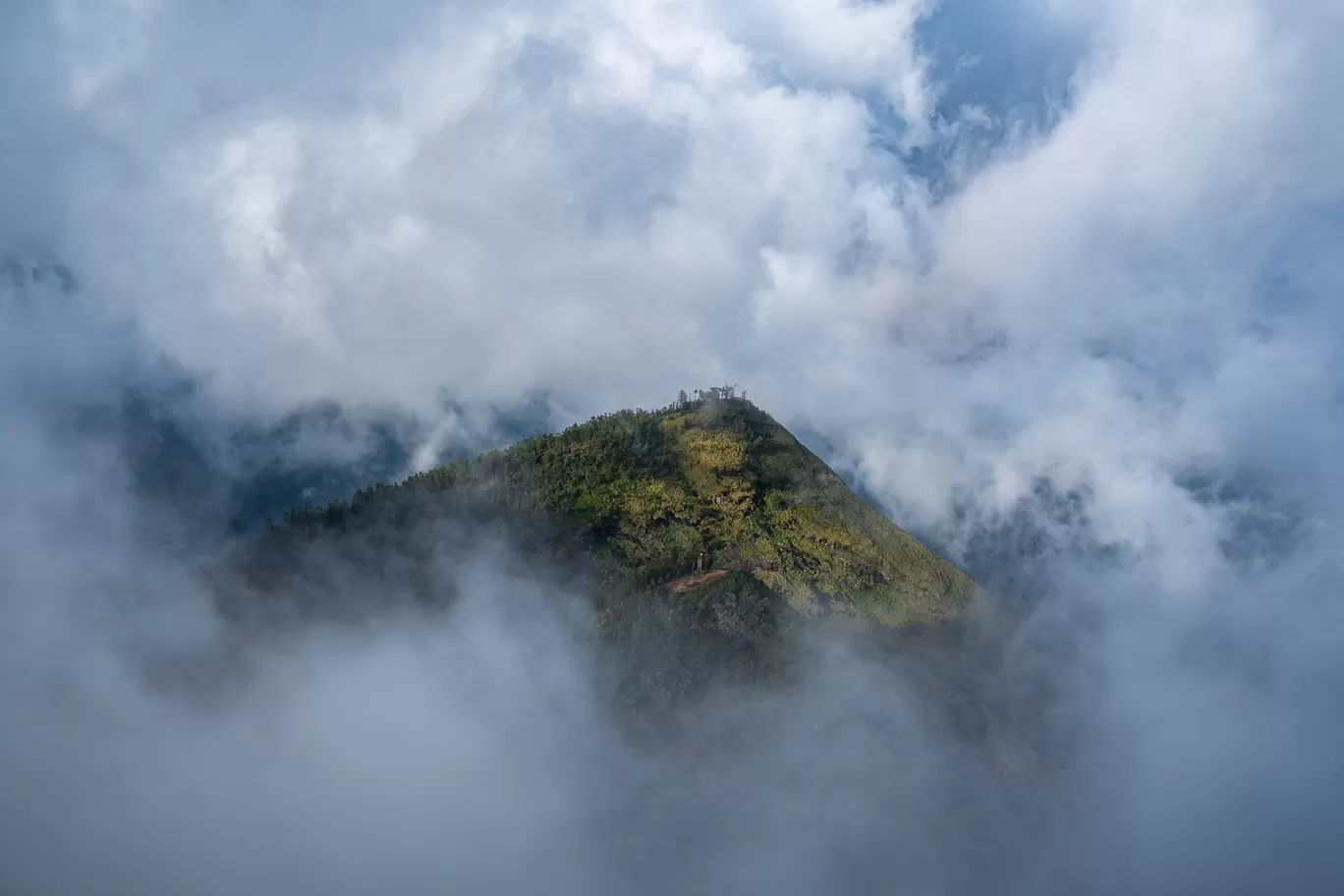 Photo of Kolukkumalai Tea Plantation By Mrphenomenal Diaries