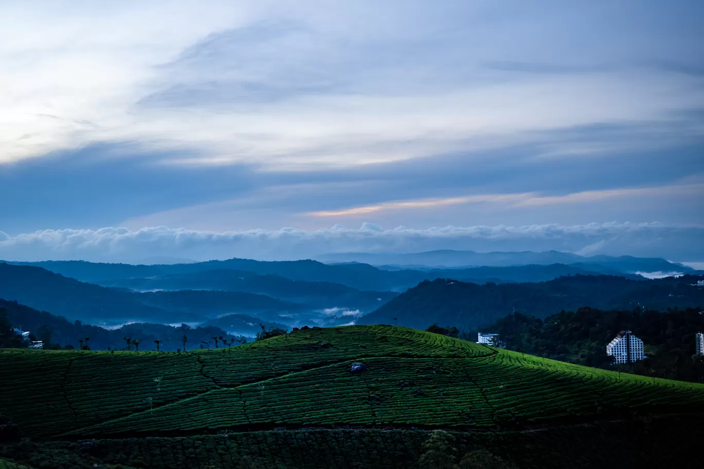 Photo of Kolukkumalai Tea Plantation By Mrphenomenal Diaries