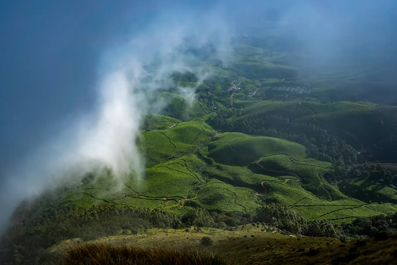 Photo of Kolukkumalai Tea Plantation By Mrphenomenal Diaries