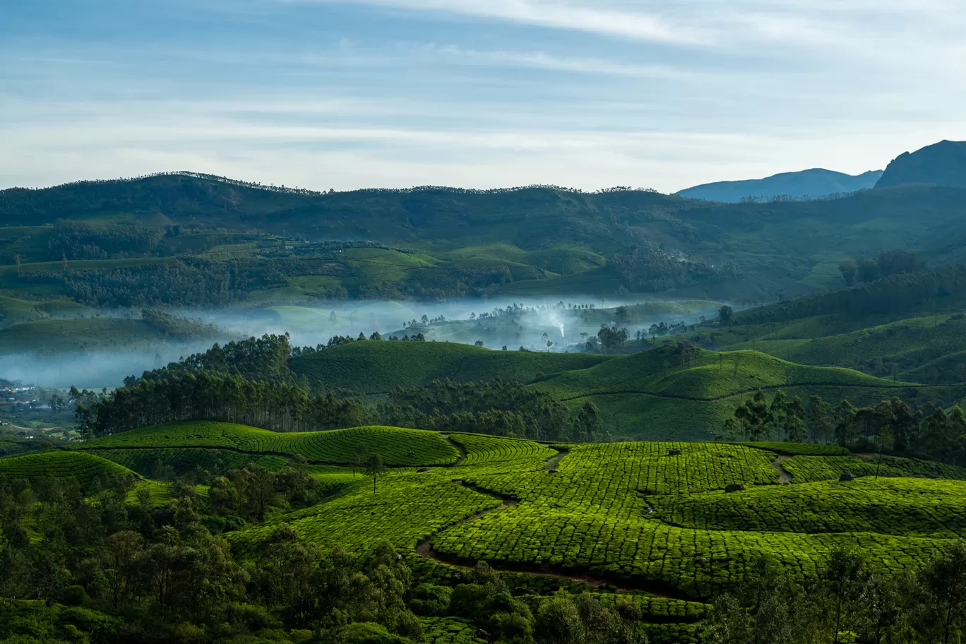 Photo of Kolukkumalai Tea Plantation By Mrphenomenal Diaries