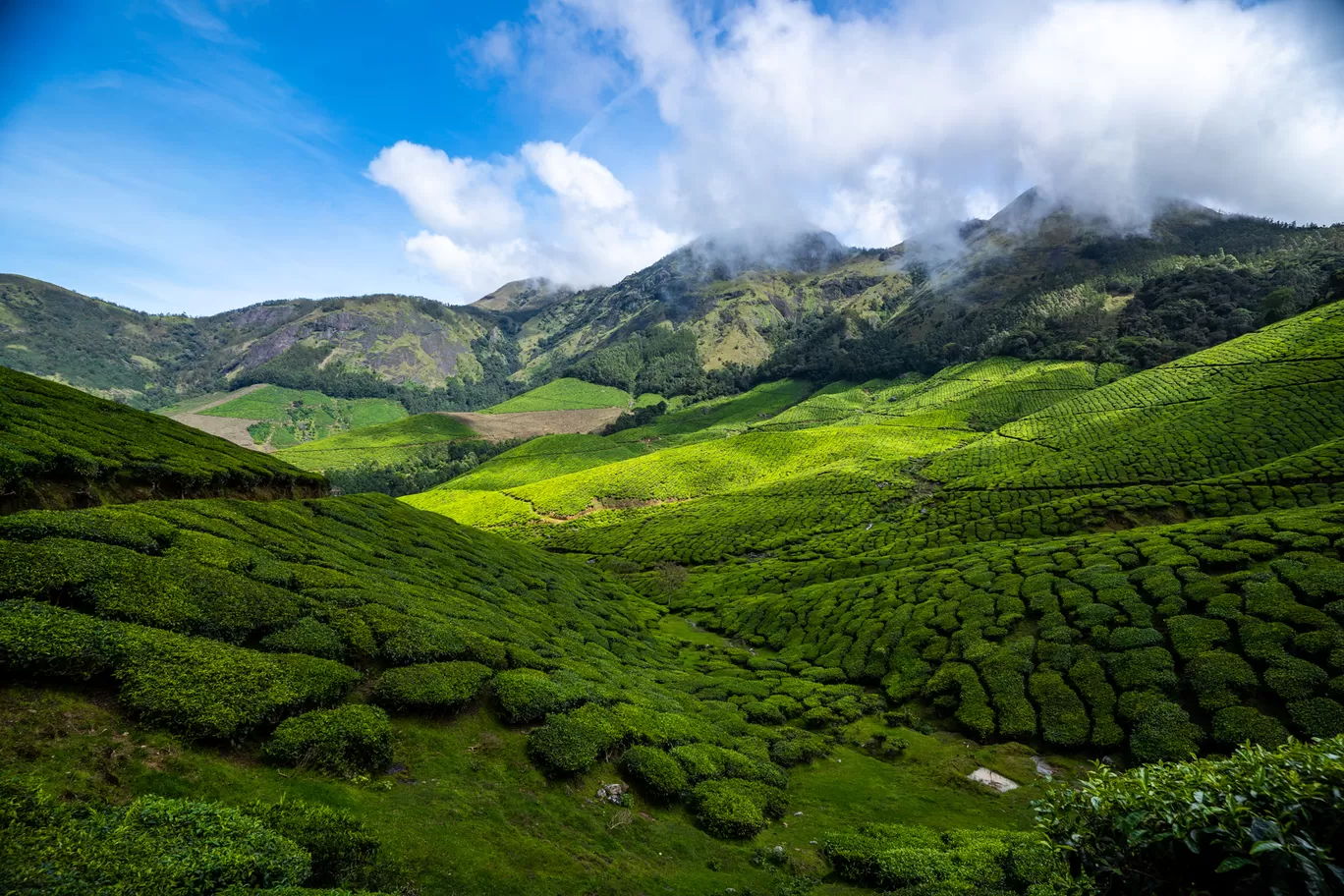 Photo of Kolukkumalai Tea Plantation By Mrphenomenal Diaries