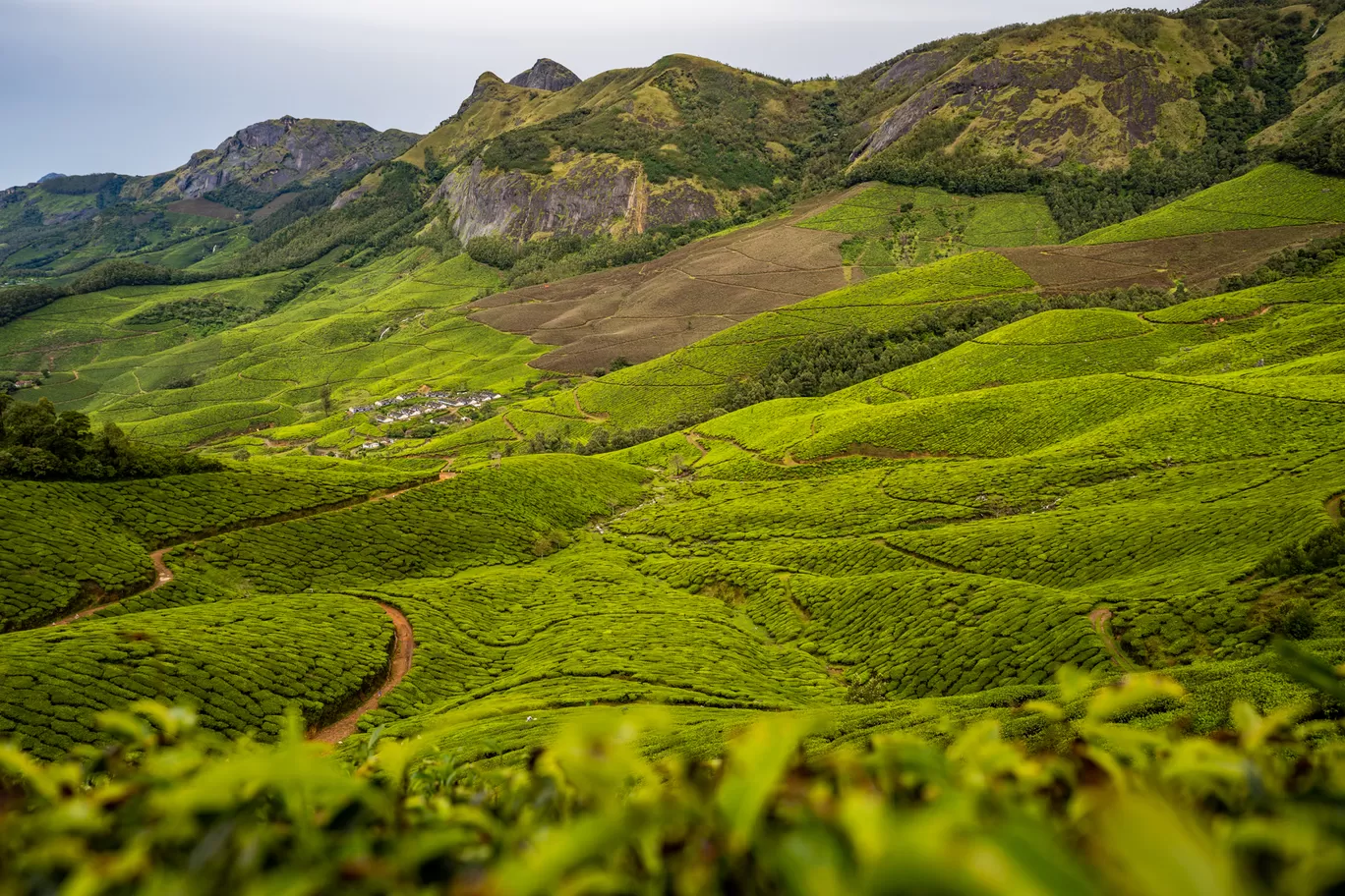 Photo of Kolukkumalai Tea Plantation By Mrphenomenal Diaries