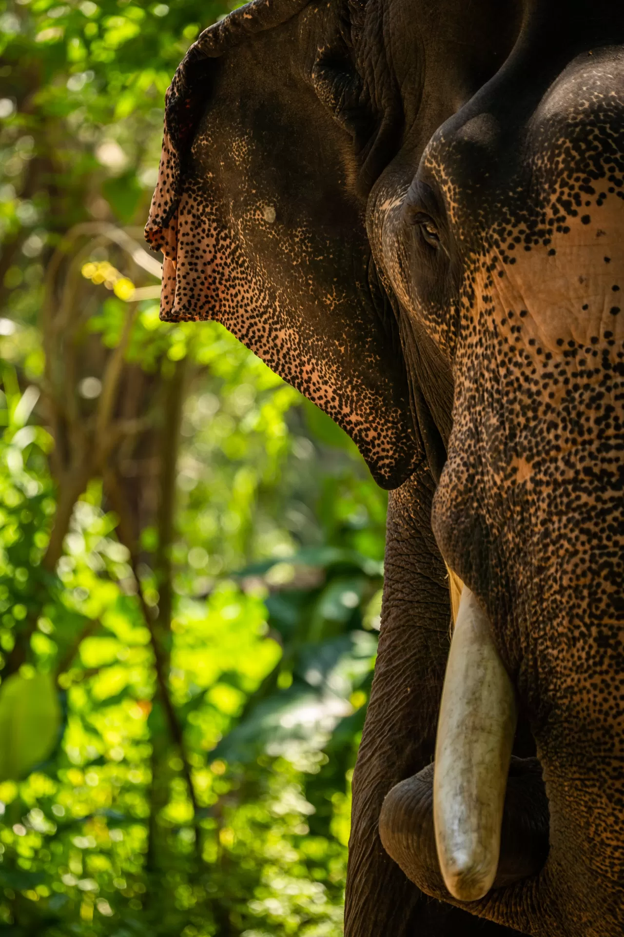 Photo of Thrissur By Mrphenomenal Diaries