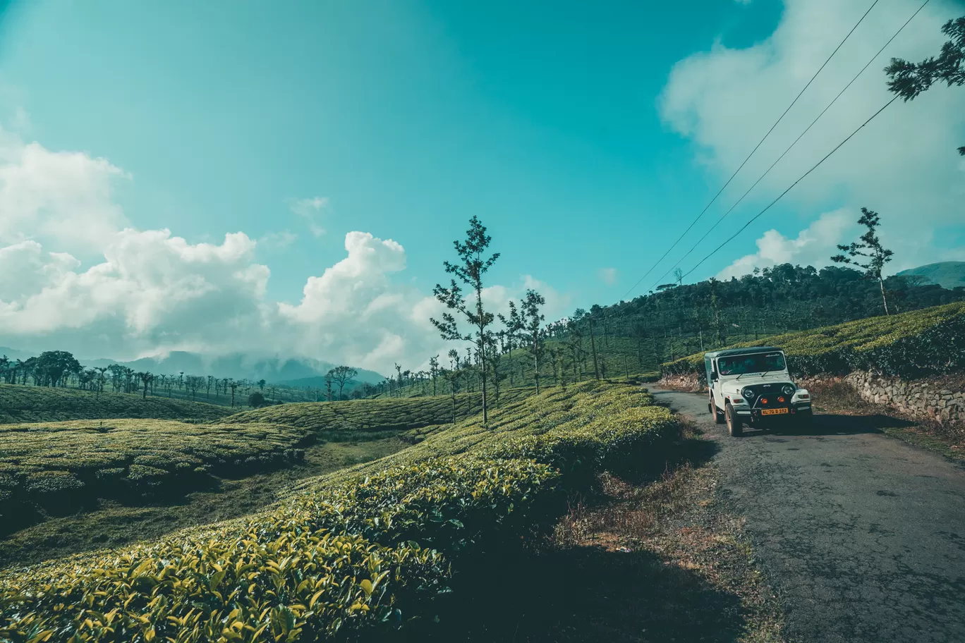 Photo of Nelliampathi By Mrphenomenal Diaries