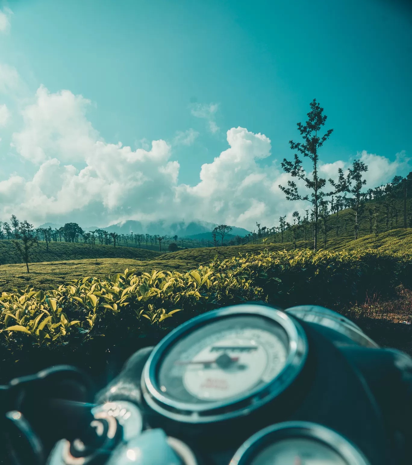 Photo of Nelliampathi By Mrphenomenal Diaries