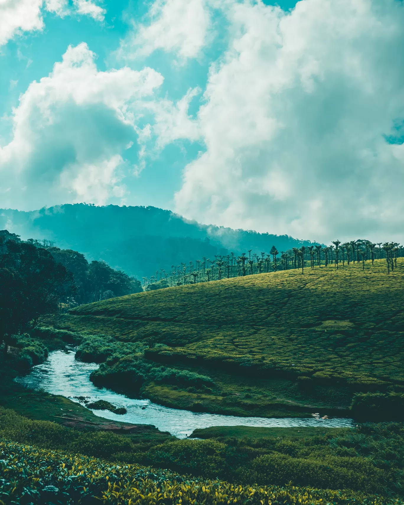 Photo of Nelliampathi By Mrphenomenal Diaries