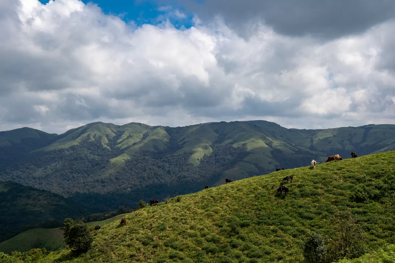 Photo of Madikeri By Mrphenomenal Diaries