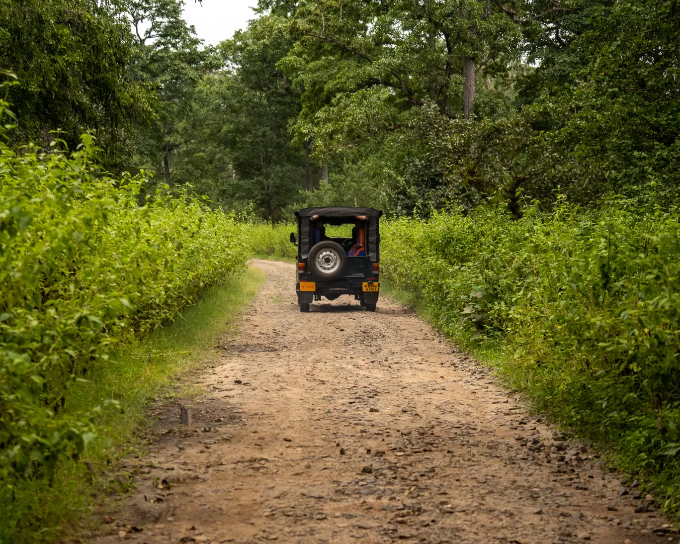 Photo of Tholpetty Wild Life Sanctuary By Mrphenomenal Diaries